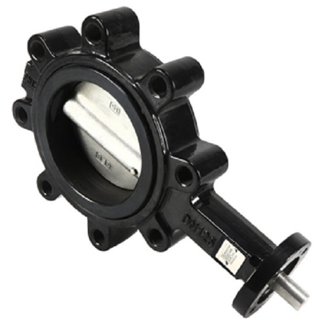 Belimo F6125HDU Valve Assembly