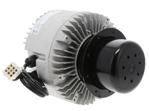 Carrier HD54JQ462 Motor