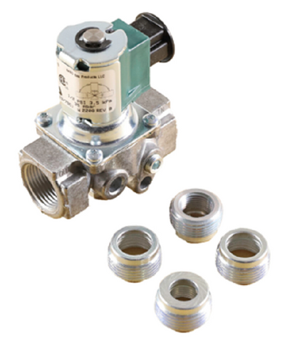 BASO H91RG-1C REVB Gas Valve