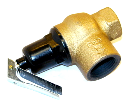 Lochinvar & A.O. Smith 100208442 Relief Valve