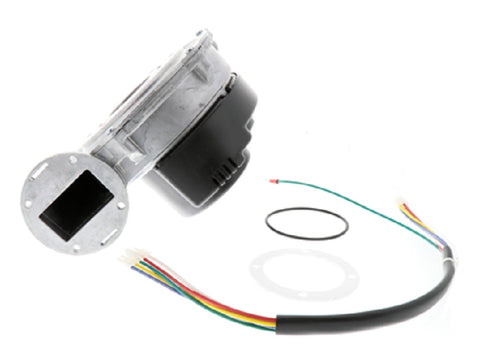 Bradford White 415-51310-00 Motor