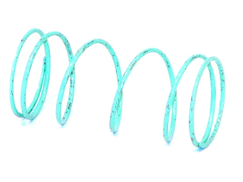 Sensus 143-08-021-02 Spring