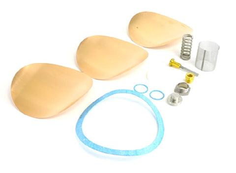 Watts 0875725 Repair Kit