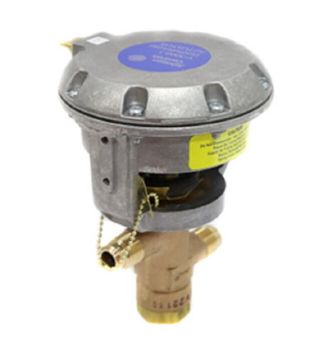 Johnson Controls V-3966-1001 Valve