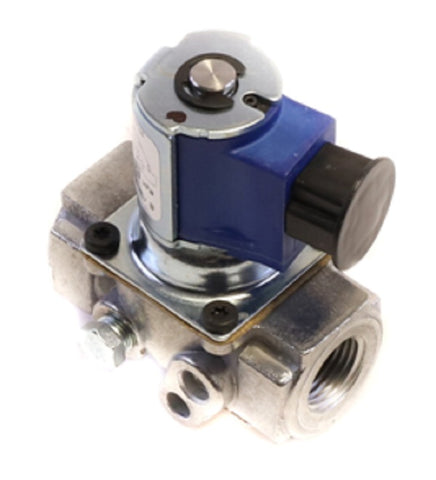 BASO H91DA-8 REVB Gas Valve