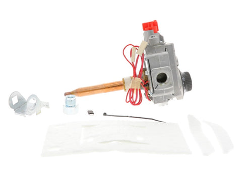 Bradford White 265-46182-01 Valve Kit