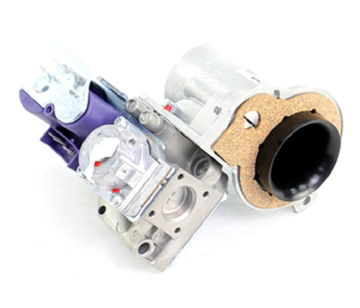 Lochinvar & A.O. Smith 100172003 Gas Valve Assembly – GSIstore