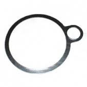 Armstrong International 811G Gasket