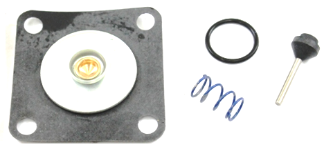 Watts 0125361 Repair Kit