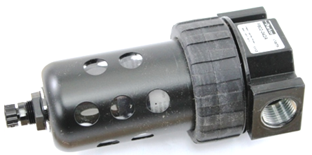 Watts F602-042A Micron Filter