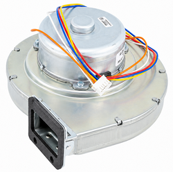 Lochinvar & A.O. Smith 100074228 Motor