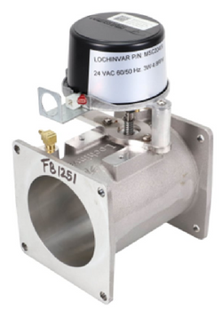 Lochinvar & A.O. Smith 100161837 Valve