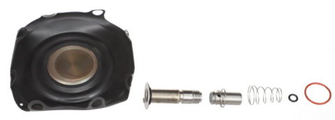 GC Valves KS211AH02N1GJ5 Repair Kit