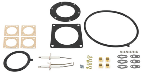 Lochinvar & A.O. Smith 100320886 Maintenance Kit