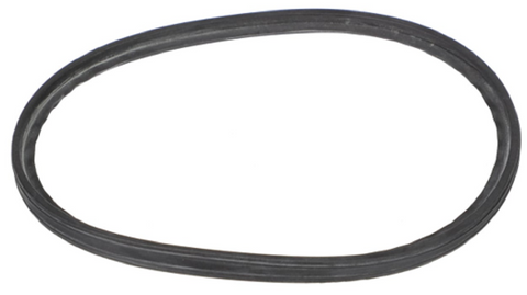 Lochinvar & A.O. Smith 100330219 Gasket Kit