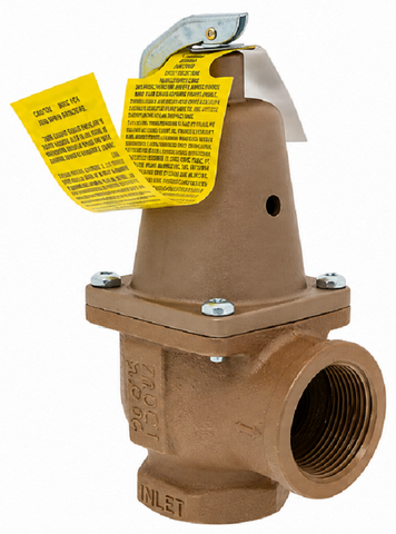 Raypak 007754F Valve