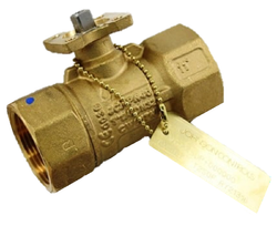Johnson Controls VG1245DP Valve