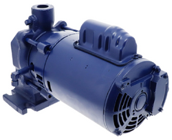 Shipco Pumps 110DF-1/3HP-1PH Pump/Motor