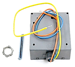 Functional Devices RIBXLCF Relay
