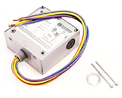 Functional Devices RIBT24P Relay