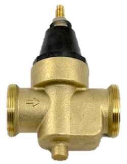 Watts 0009489 Valve