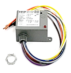 Functional Devices RIB12P Relay