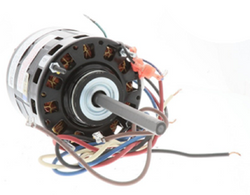 Century Motors BL6530 Motor