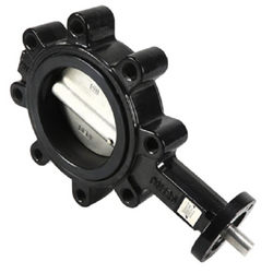 Belimo F6125HDU Valve Assembly