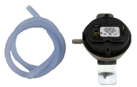 Lochinvar & A.O. Smith 100111020 Switch