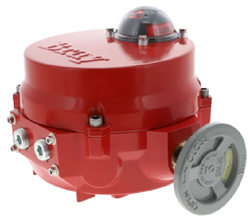 Bray Commercial 70E060-113G3536/K Actuator