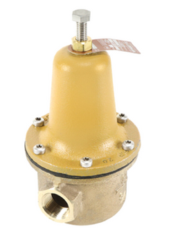 Watts 0298519 Regulator