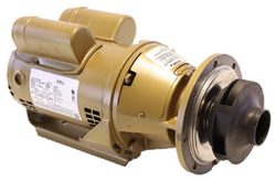 Armstrong Fluid Technology 110108MF-677 Pump