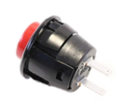 Lochinvar & A.O. Smith 100208241 Reset Switch