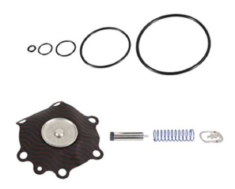 ASCO 099-025 Rebuild Kit