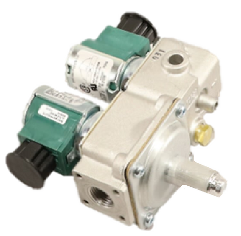 BASO BGD258ABC-1CADDC Gas Valve