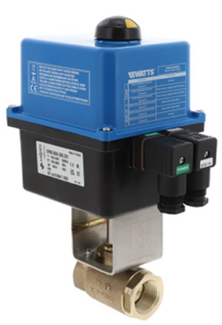 Watts 0123841 Valve