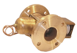 Johnson Controls V46BT-3 Valve