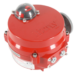 Bray Commercial 70E061-113G0536/K Actuator
