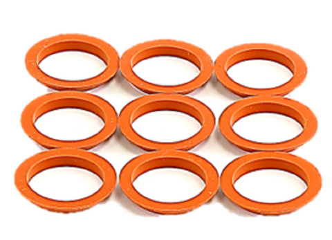 Raypak 800001B Gasket Kit