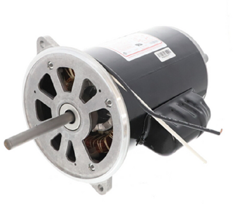 Wayne 21819-002 Motor