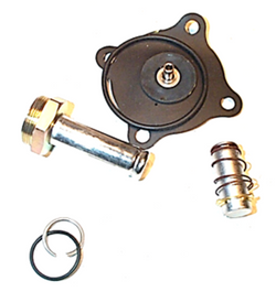 ASCO 316-669 Rebuild Kit
