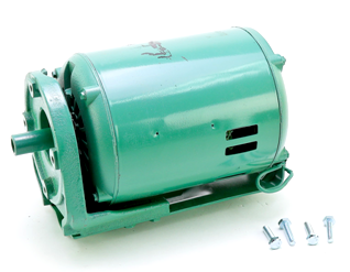 Raypak 951089F Pump Motor