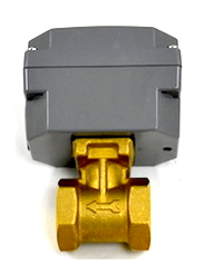 Johnson Controls F261KEH-V01C Flow Switch