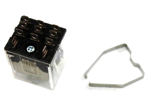 Raypak 009689F Relay