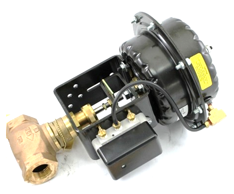 Johnson Controls VG7243NT+822C01 Valve