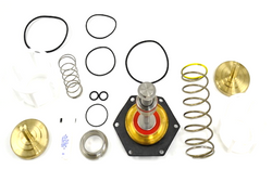 Watts 0794071 Repair Kit