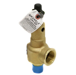 Kunkle Valve 6010FEM01-AM0150 Relief Valve