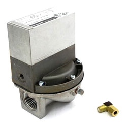 Raypak 004093F Gas Valve