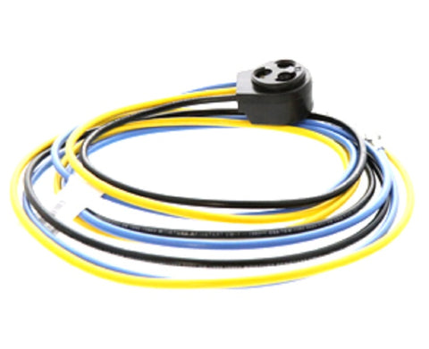 Carrier 317749-407 Compressor Plug