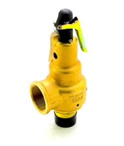Kunkle Valve 6010HGE01-AM0150 Relief Valve
